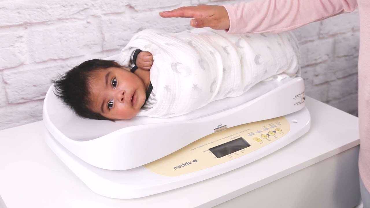 Medela BabyWeigh II Baby Scale Rental – Mom and Baby Shop