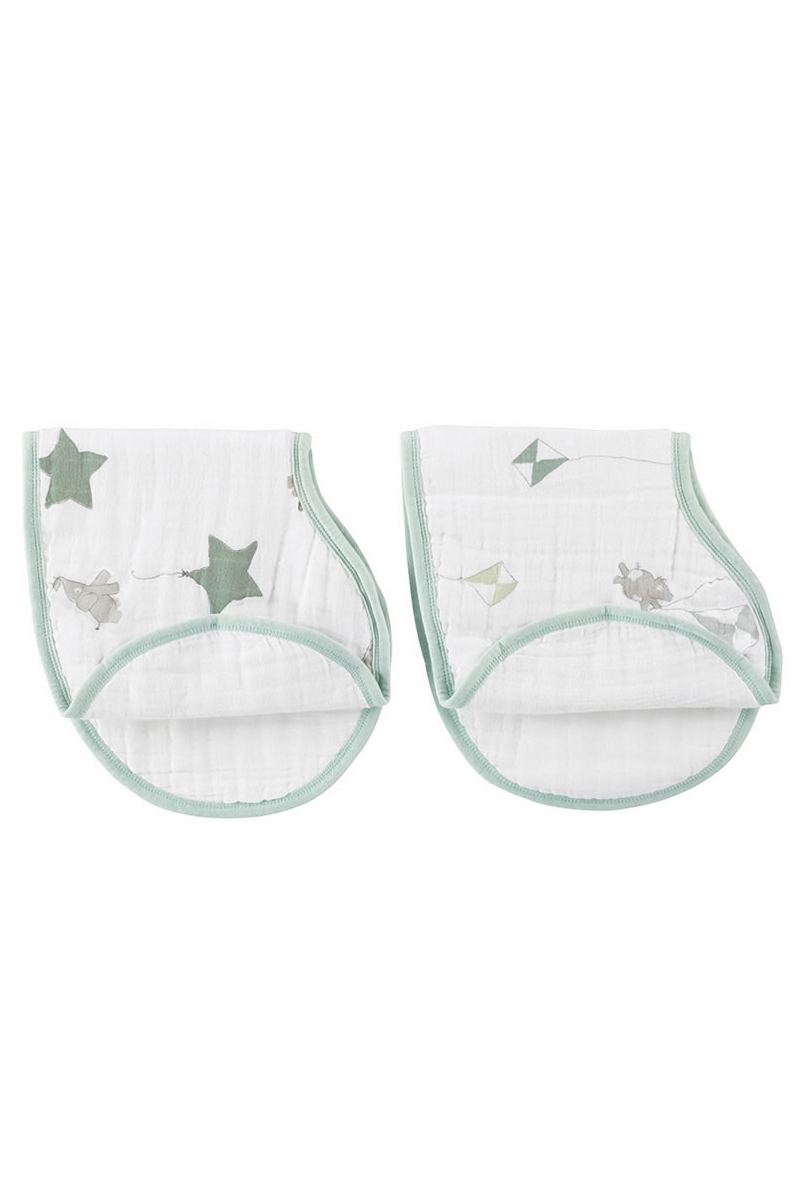 Aden + Anais Burpy Bibs, Up Up And Away - 2 Pack